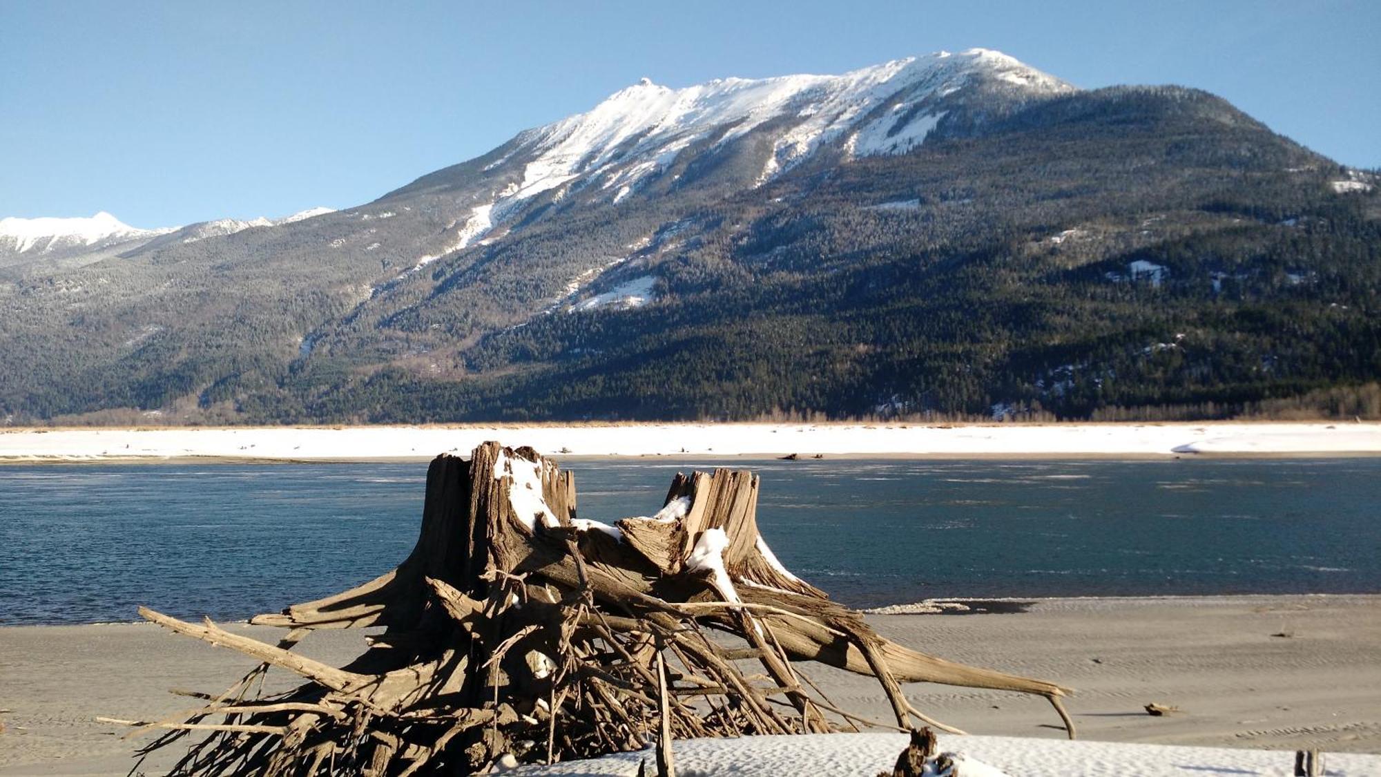 Mulvehill Creek Wilderness Inn And Wedding Chapel Revelstoke Eksteriør billede