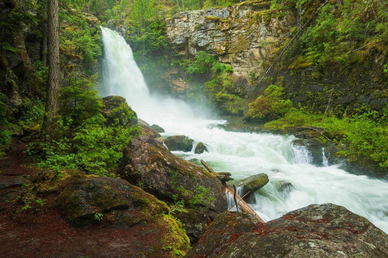 Mulvehill Creek Wilderness Inn And Wedding Chapel Revelstoke Eksteriør billede